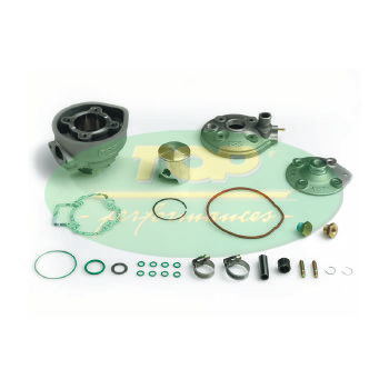 9921660 Serie Guarnizioni cilindro Tpr D.47,6 Piaggio 50 a liquido 2T