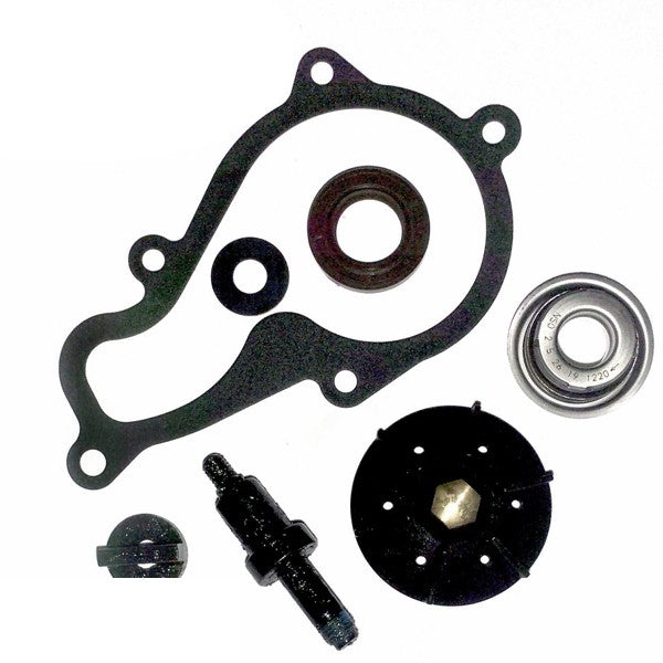 AA00829 Kit Revisione Pompa H2O Piaggio