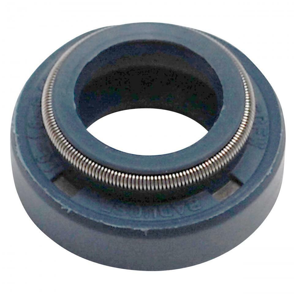 AM00024 Paraolio 10X18X8